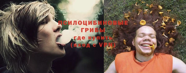 винт Алексеевка