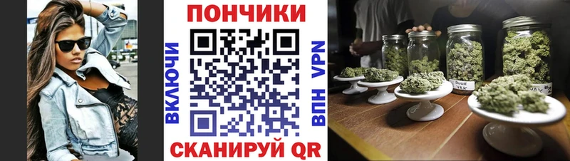 купить наркотик  Сясьстрой  Бошки марихуана LSD WEED 